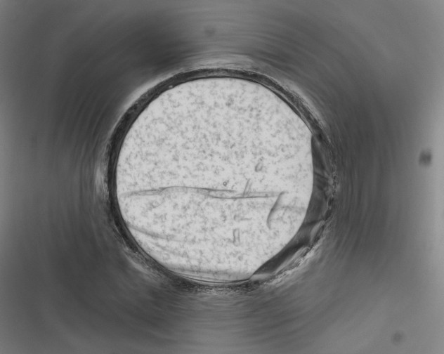 X0000116670830201001111309