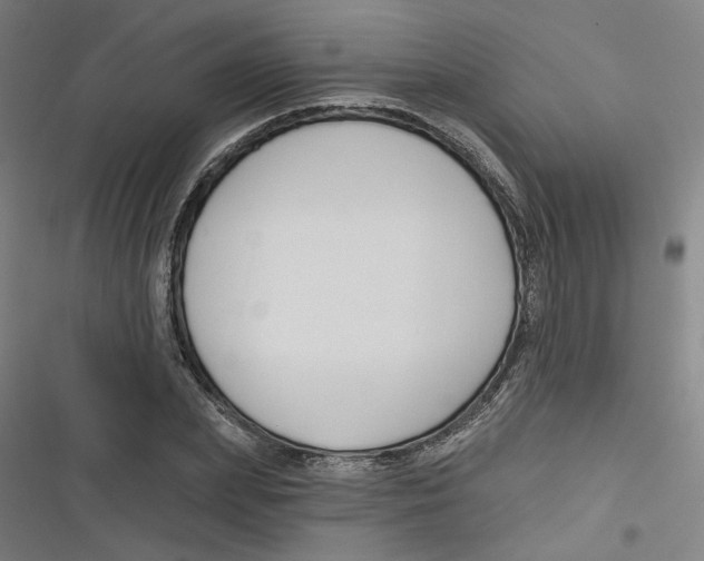 X0000116670831201001111309