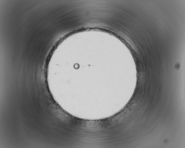 X0000116670832201001111309