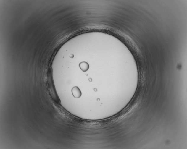 X0000116670833201001111309