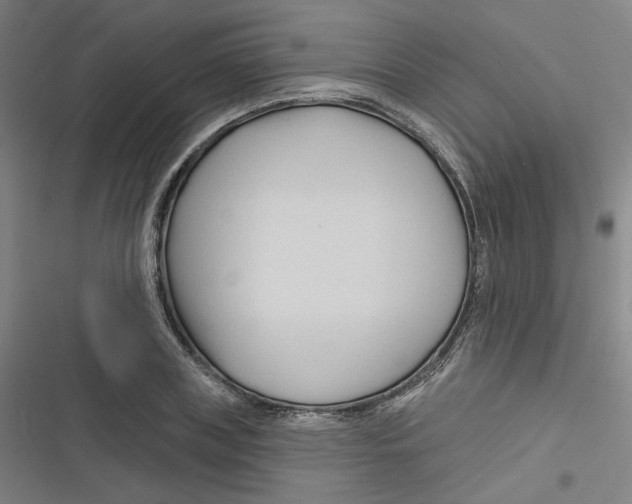 X0000116670835201001111309