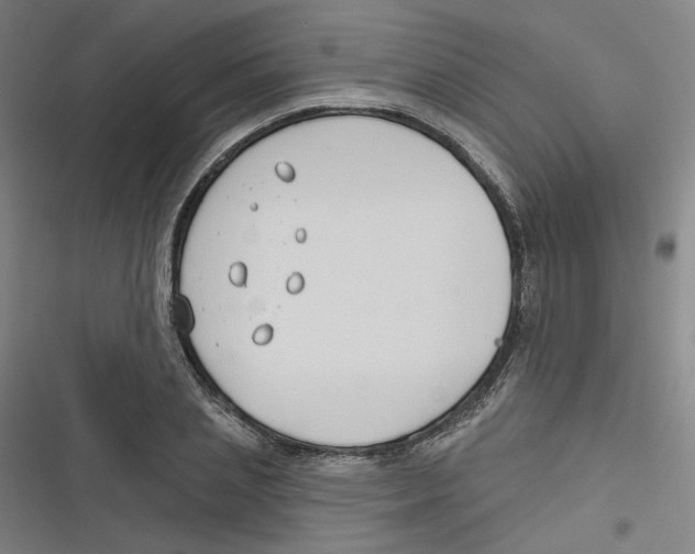 X0000116670837201001111309