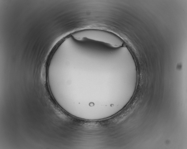 X0000116670838201001111309