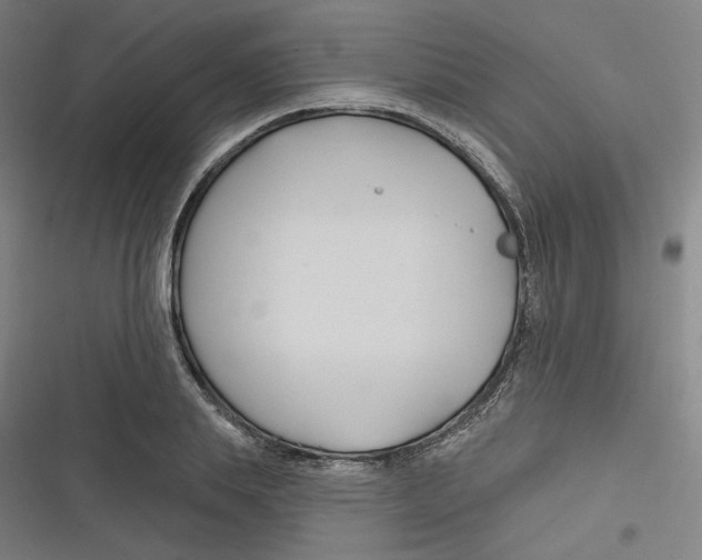 X0000116670839201001111309