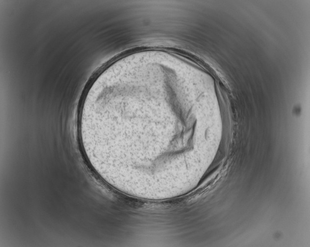 X0000116670840201001111309