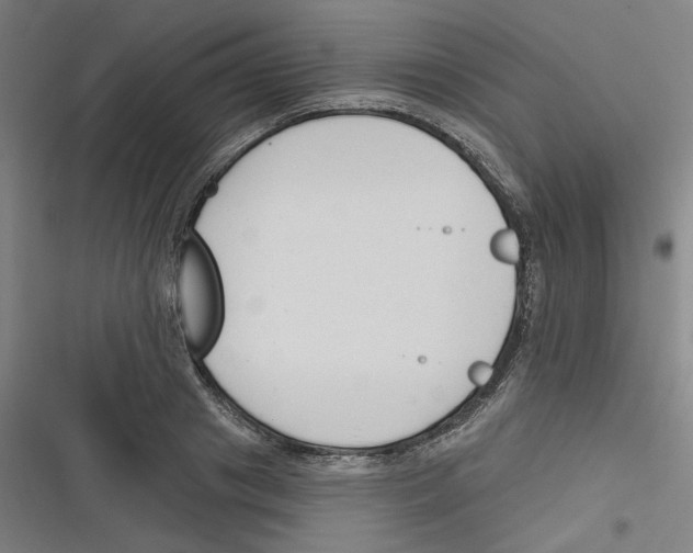 X0000116670841201001111309