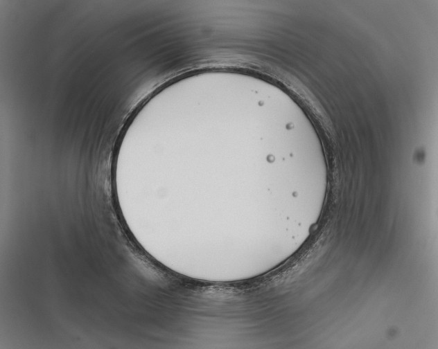 X0000116670842201001111309