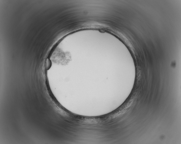 X0000116670843201001111309