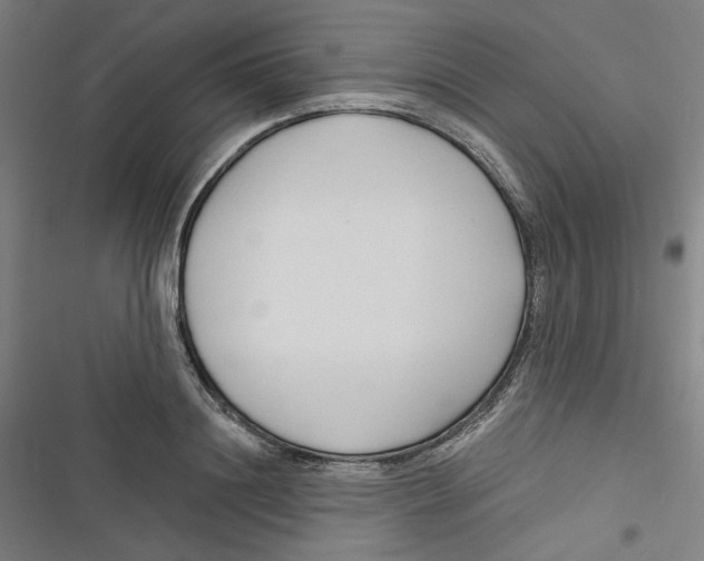 X0000116670844201001111309