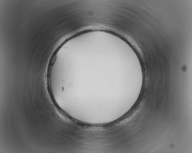 X0000116670845201001111309