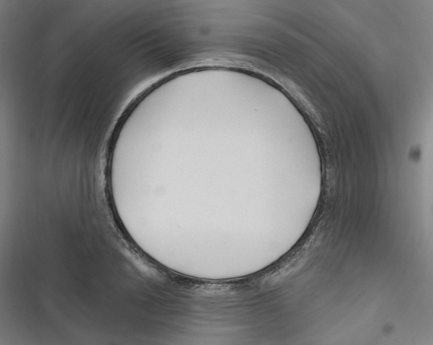 X0000116670846201001111309