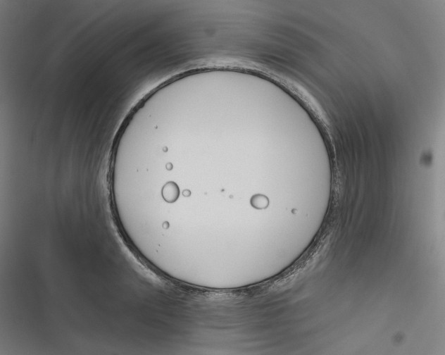 X0000116670847201001111309