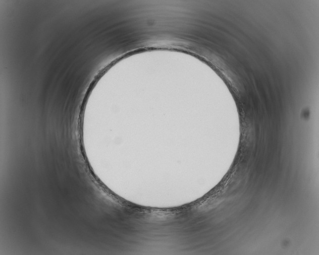 X0000116670848201001111309