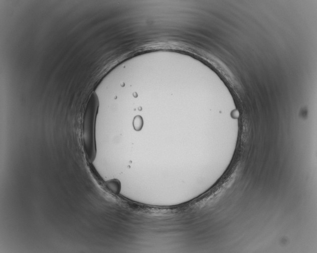 X0000116670849201001111309