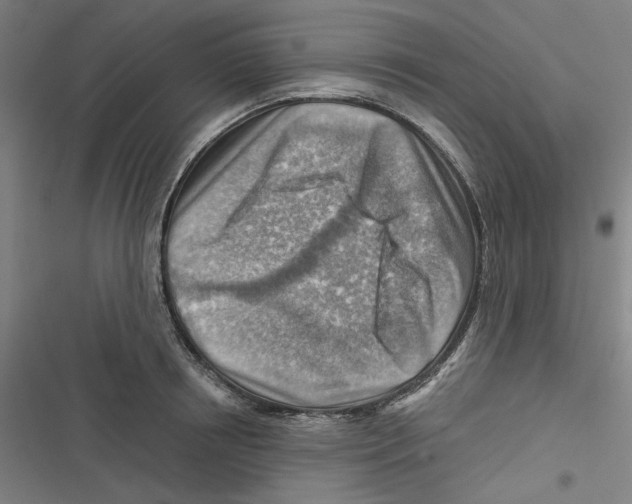 X0000116670850201001111309