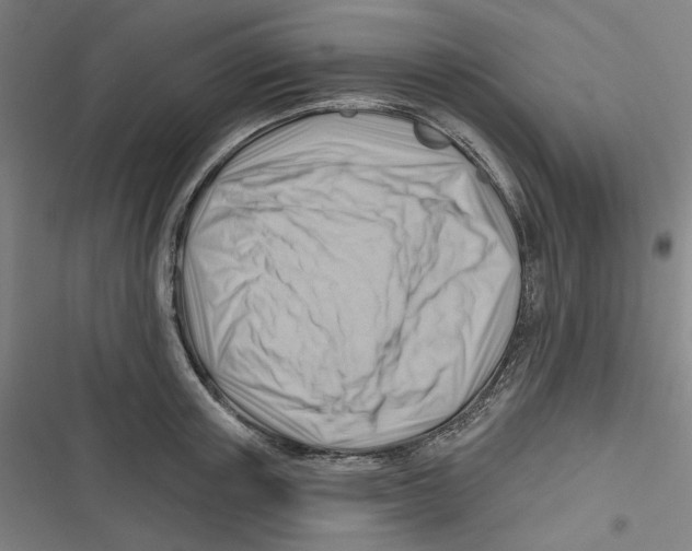 X0000116670851201001111309