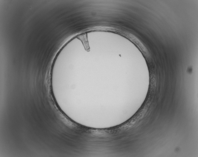 X0000116670852201001111309