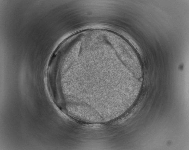 X0000116670853201001111309