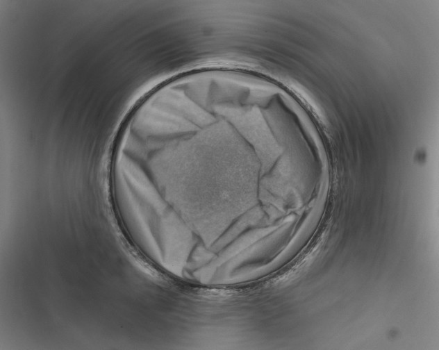 X0000116670854201001111309