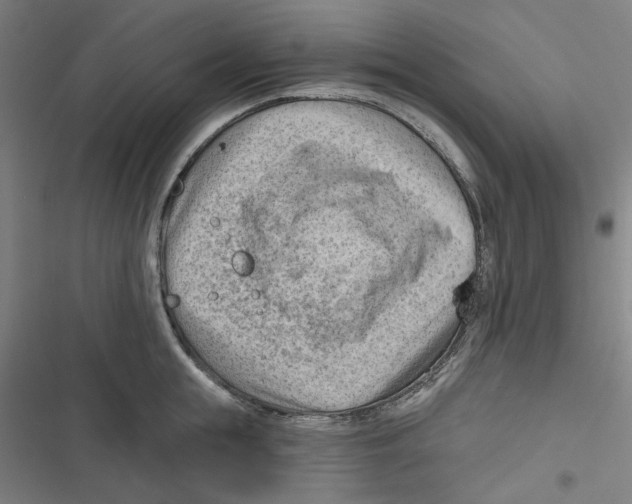 X0000116670855201001111309