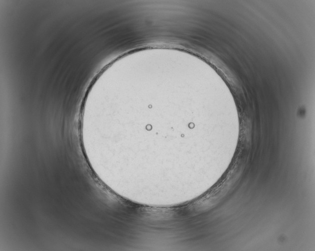 X0000116670856201001111309