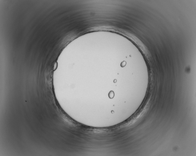 X0000116670857201001111309