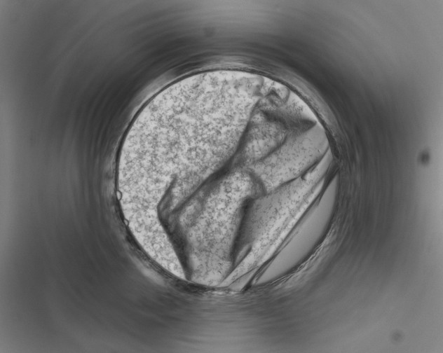 X0000116670858201001111309