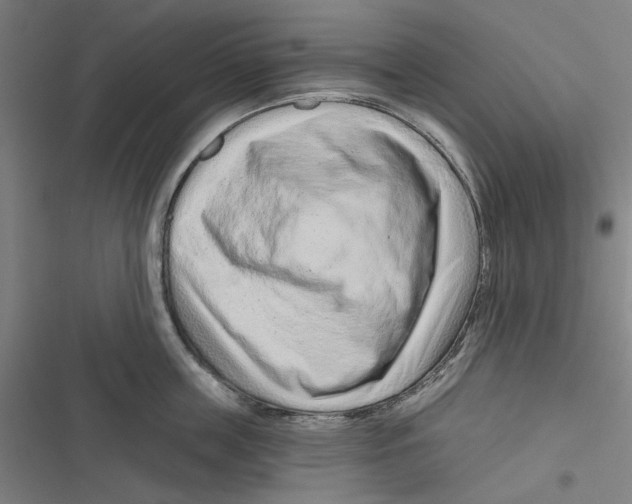 X0000116670859201001111309