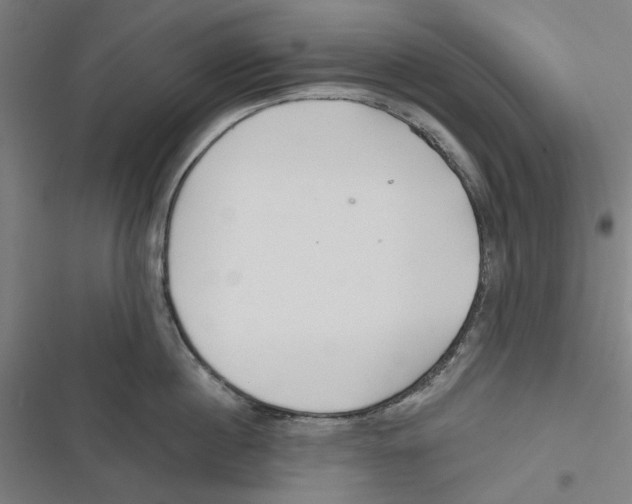 X0000116670860201001111309