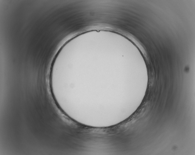 X0000116670861201001111309