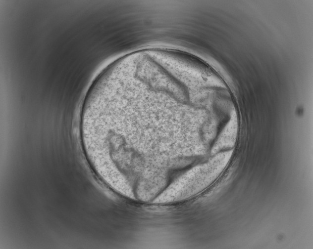 X0000116670862201001111309