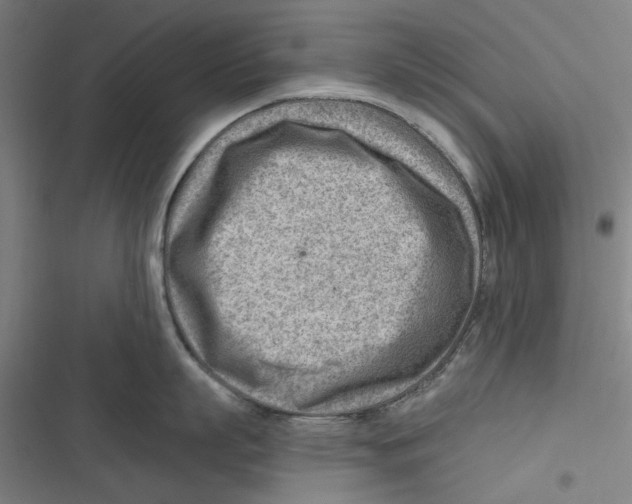 X0000116670863201001111309