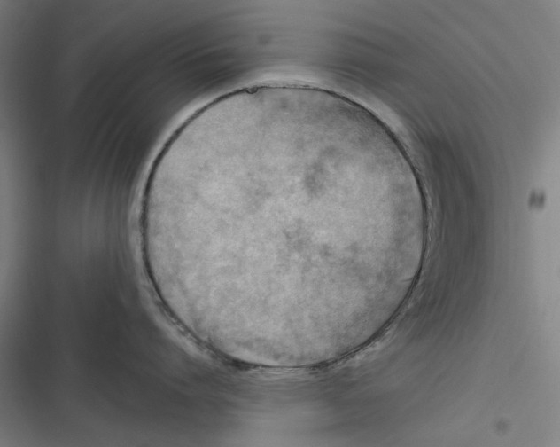 X0000116670864201001111309