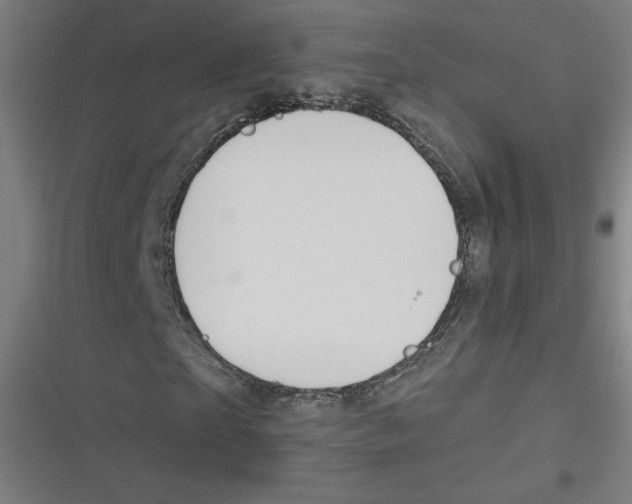 X0000116670865201001111309