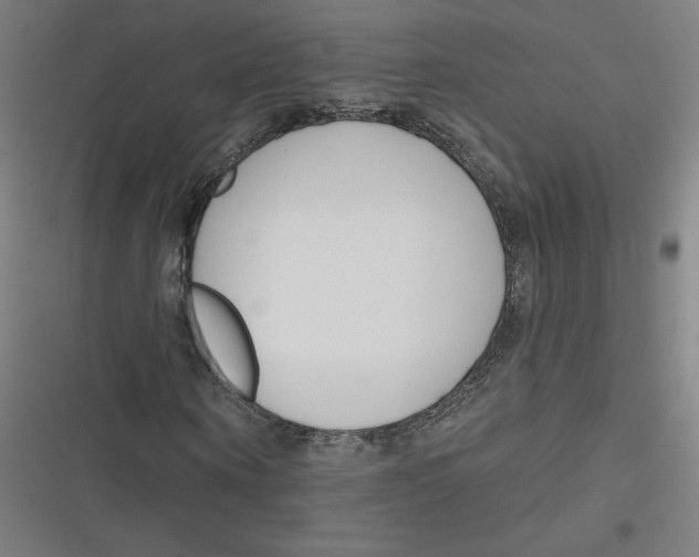 X0000116670866201001111309