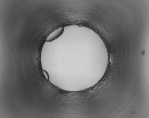 X0000116670867201001111309