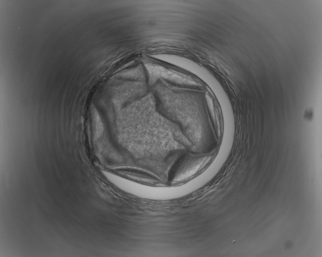 X0000116670868201001111309