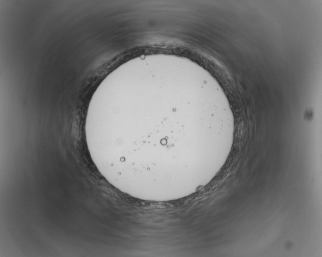 X0000116670869201001111309