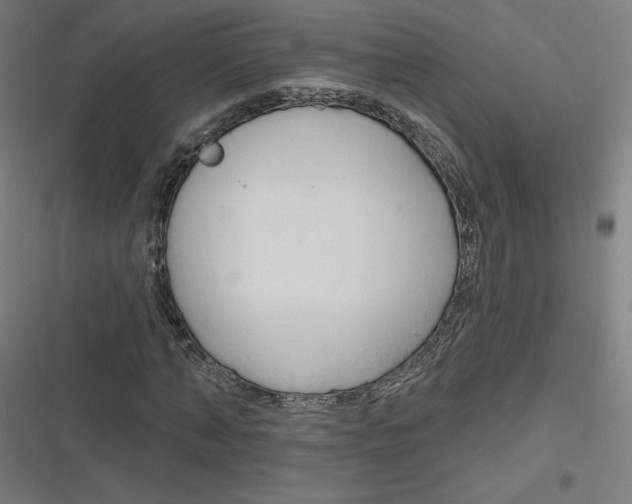 X0000116670870201001111309