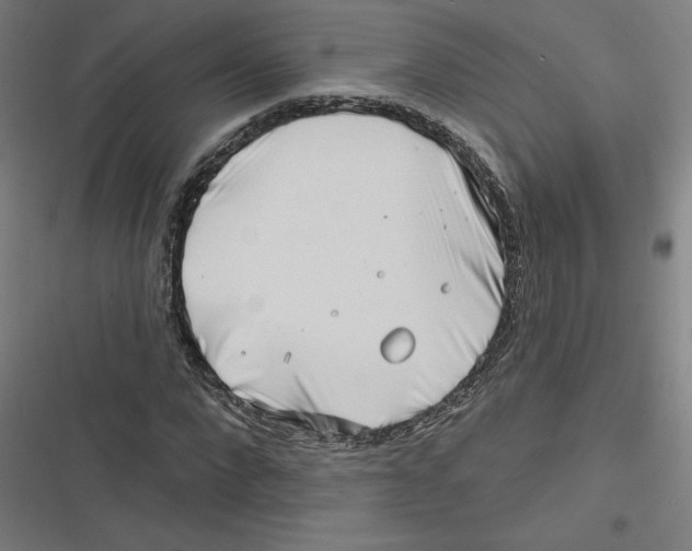 X0000116670872201001111309