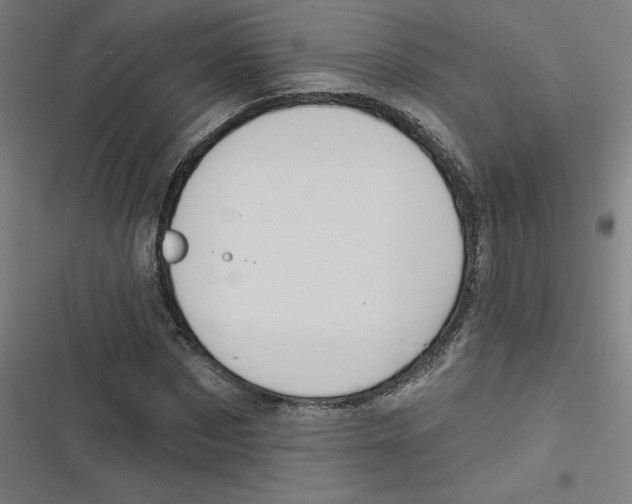 X0000116670873201001111309