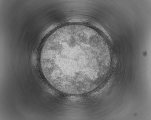 X0000116670874201001111309