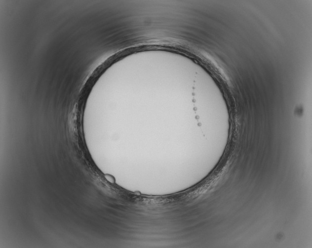 X0000116670875201001111309