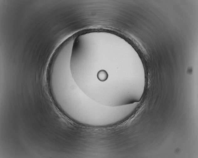 X0000116670876201001111309