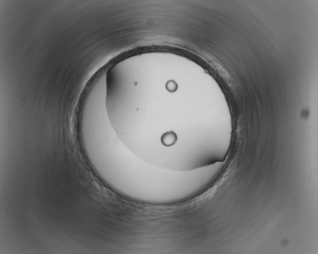 X0000116670877201001111309