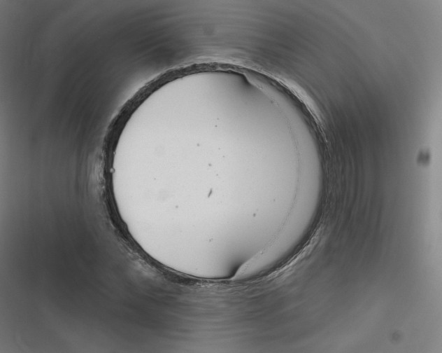 X0000116670878201001111309