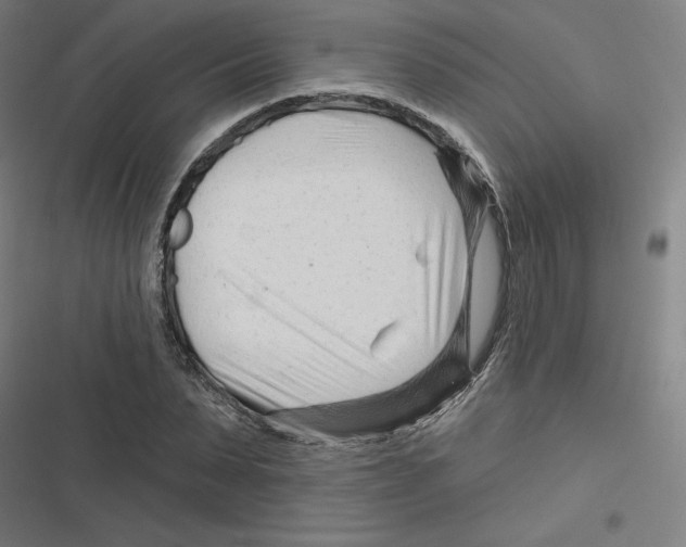 X0000116670879201001111308