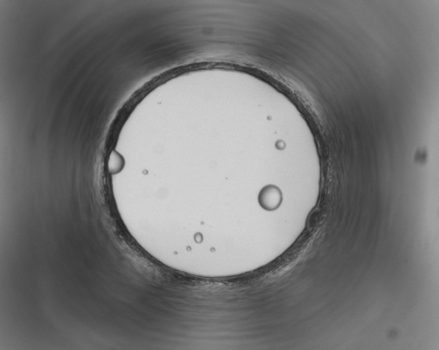 X0000116670880201001111308