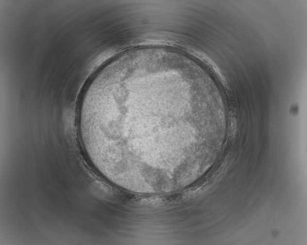 X0000116670882201001111308