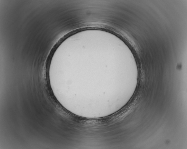 X0000116670883201001111308